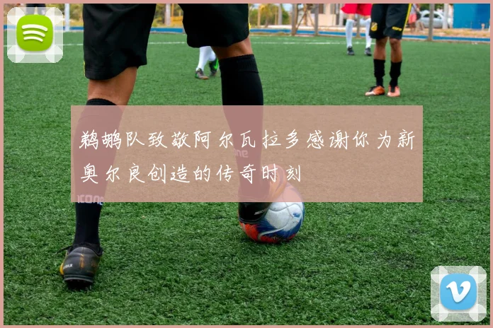 鹈鹕队致敬阿尔瓦拉多感谢你为新奥尔良创造的传奇时刻