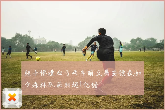 纽卡惨遭血亏两年前交易安德森如今森林队获利超1亿镑